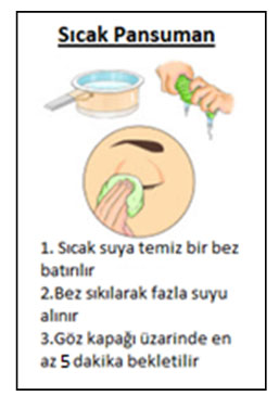 Arpacık ve Şalazyon